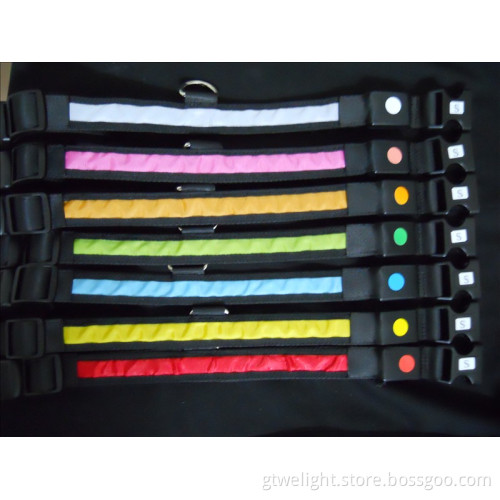 Cute Flashing LED Dog Collars